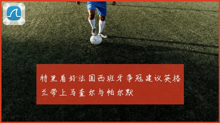 特里看好法国西班牙争冠建议英格兰带上马奎尔与帕尔默